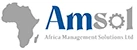 amsol logo